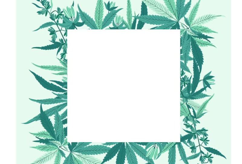 medical marijuana card
