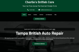 tampa web design