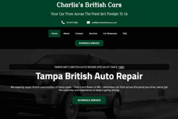 tampa web design